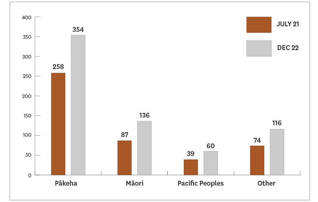 Bar graph of number of paid staff by ethnic group